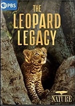 Leopard Legacy