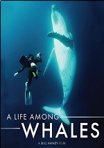 Life Among Whales