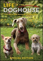 Life In The Doghouse