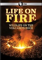 Life On Fire - Wildlife On The Volcanos Edge