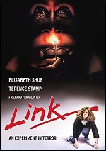 Link - Special Edition