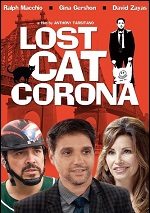 Lost Cat Corona