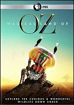 Magical Land Of Oz