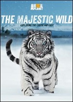 Majestic Wild