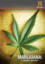 Marijuana - A Chronic History