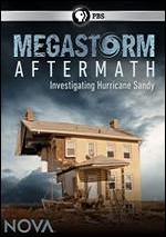 Megastorm Aftermath