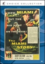 Miami Story