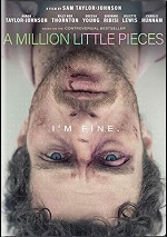 Million Little Pieces