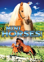 Mini Horses!