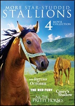 More Star-Studded Stallions