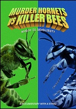 Murder Hornets Vs. Killer Bees