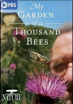 My Garden Of A Thousand Bees