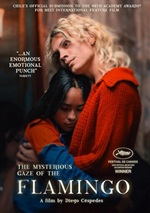 Mysterious Gaze Of The Flamingo