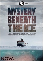 Mystery Beneath The Ice