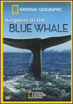 Kingdom Of The Blue Whale