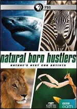 Natural Born Hustlers