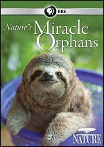 Nature's Miracle Orphans