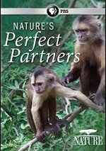 Nature's Perfect Partners