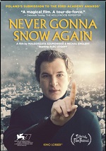 Never Gonna Snow Again