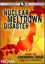 Nuclear Meltdown Disaster