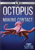 Octopus: Making Contact