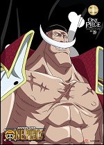 One Piece - Collection 19
