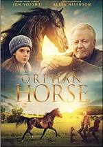 Orphan Horse