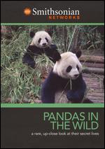 Pandas In The Wild