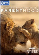 Parenthood