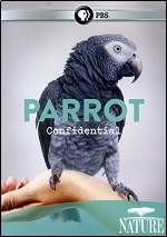 Parrot Confidential