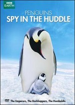 Penguins - Spy In The Huddle