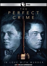 Perfect Crime