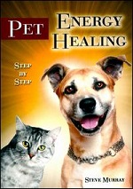 Pet Energy Healing Step By Step With Steve Murray