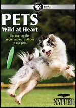 Pets - Wild At Heart