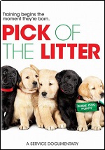 Pick Of The Litter