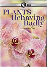 Plants Behaving Badly