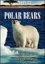 Polar Bears