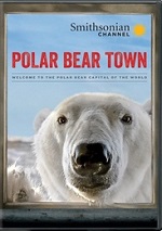 Polar Bear Town - Season 1