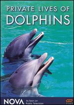 Private Lives Of Dolphins