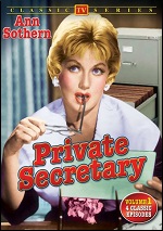 Private Secretary - Vol. 1