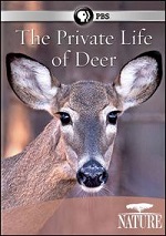 Private Life Of Deer
