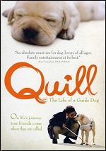Quill: The Life Of A Guide Dog