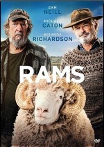 Rams