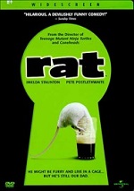 Rat