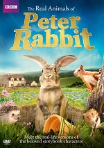 Real Animals Of Peter Rabbit