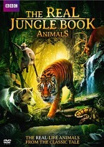 Real Jungle Book Animals