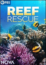 Reef Rescue
