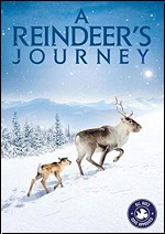 Reindeer's Journey