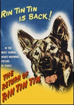 Return Of Rin Tin Tin
