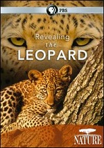 Revealing The Leopard